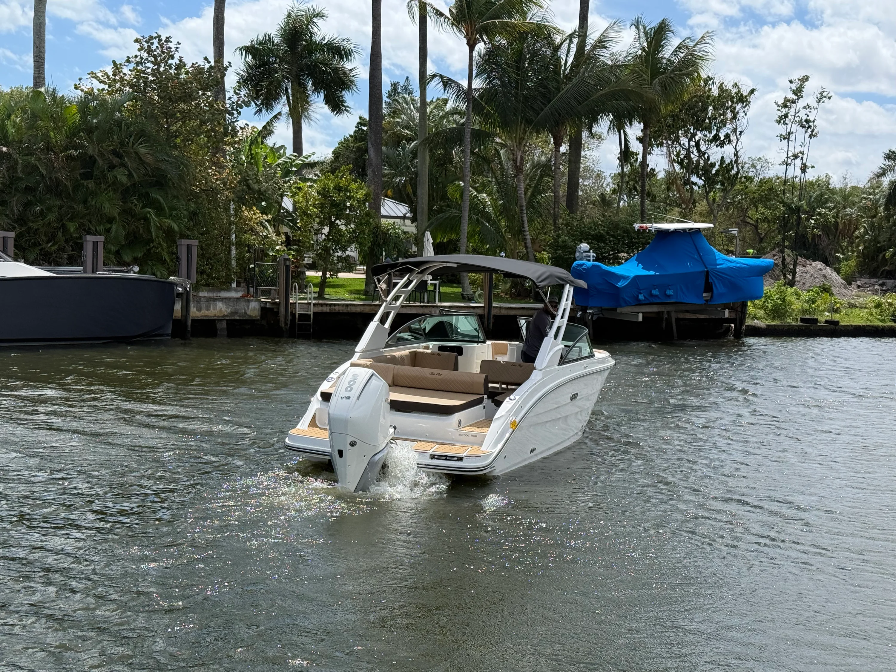 2026 Sea Ray SDX 250 Outboard Image Thumbnail #5