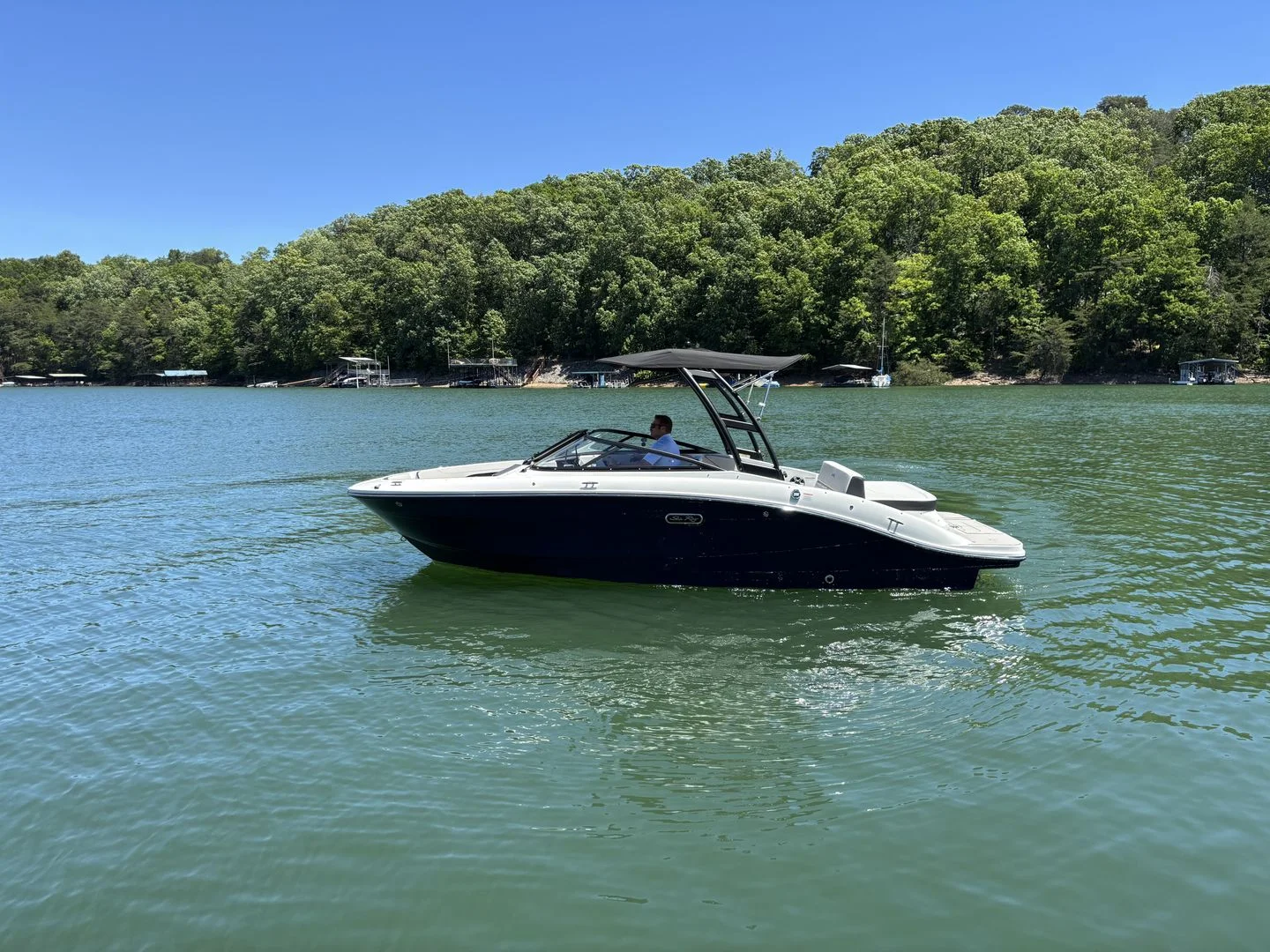 2026 Sea Ray SPX 210 Image Thumbnail #2
