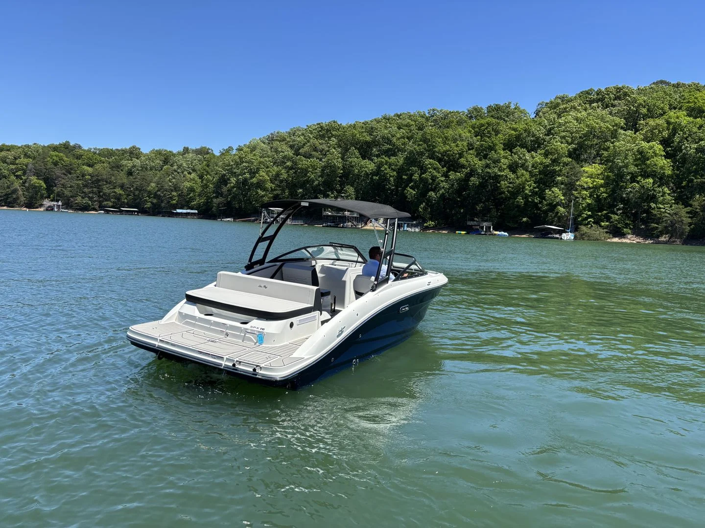2026 Sea Ray SPX 210 Image Thumbnail #24