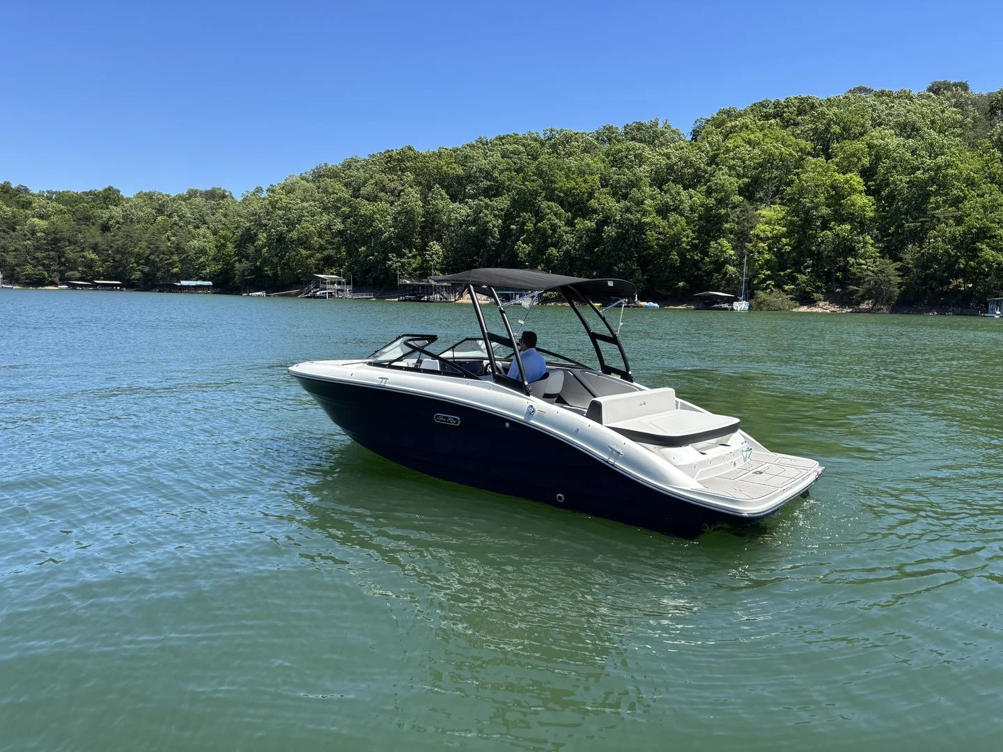 2026 Sea Ray SPX 210 Image Thumbnail #3