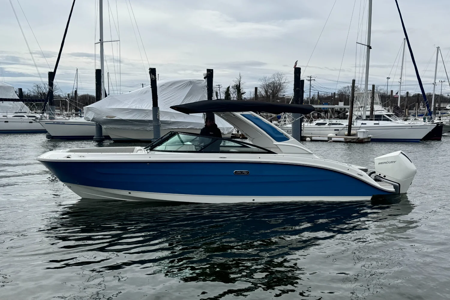 2026 Sea Ray SDX 250 Outboard Image Thumbnail #42