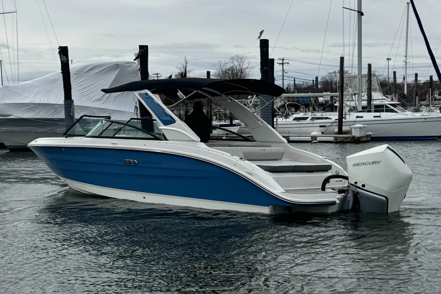 2026 Sea Ray SDX 250 Outboard Image Thumbnail #1