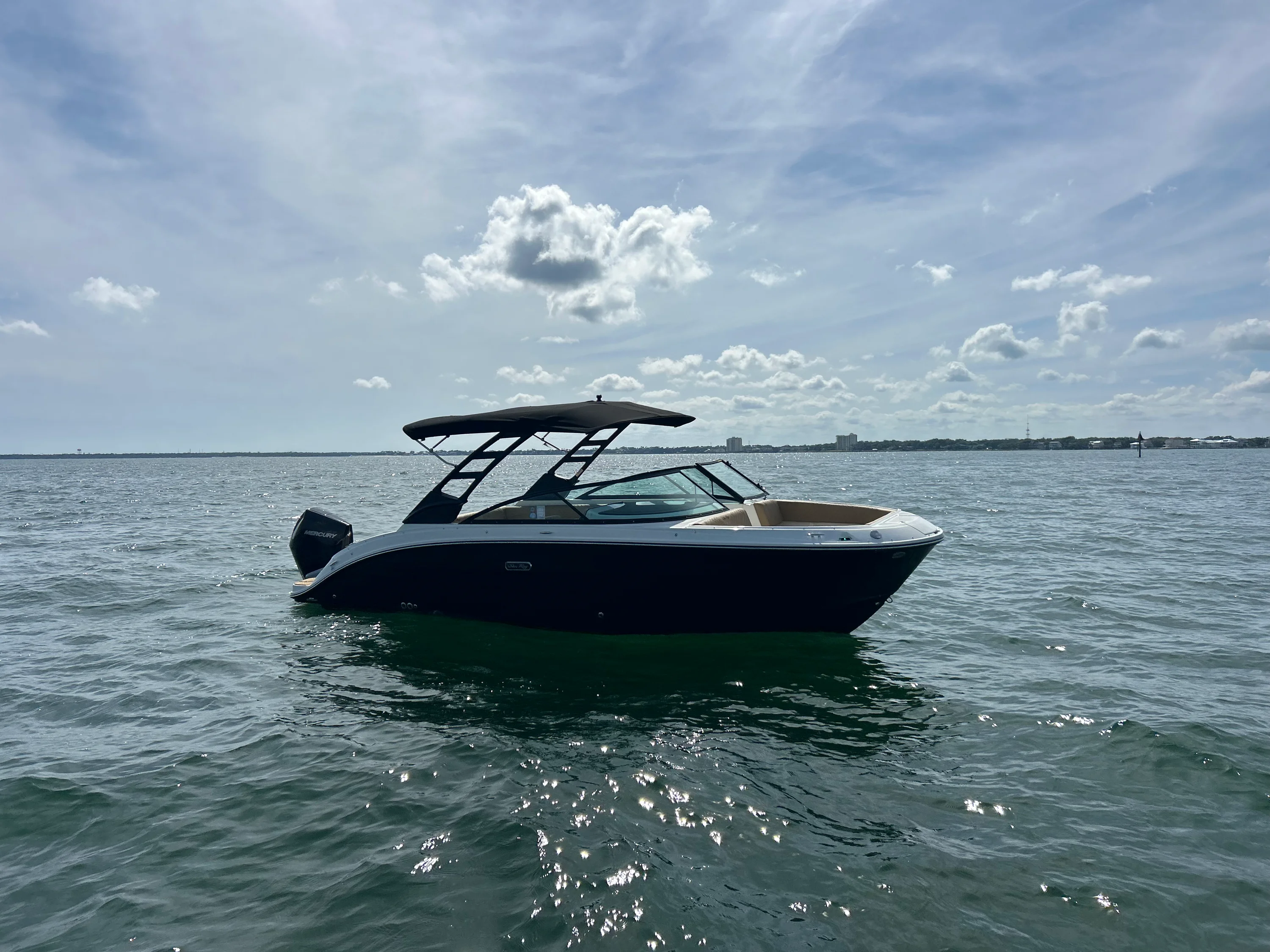 2026 Sea Ray SDX 250 Outboard Image Thumbnail #7