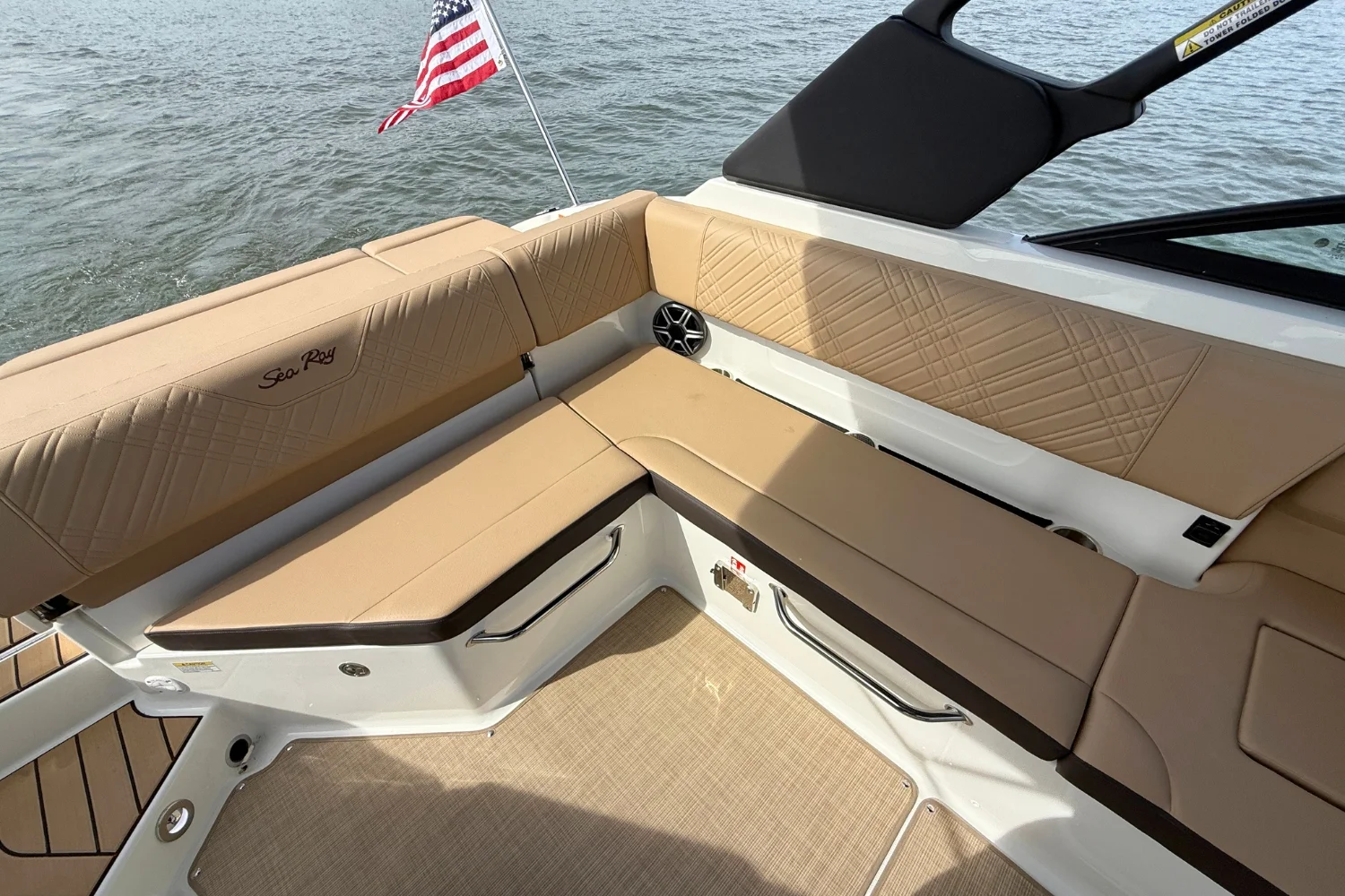 2026 Sea Ray SDX 250 Image Thumbnail #10