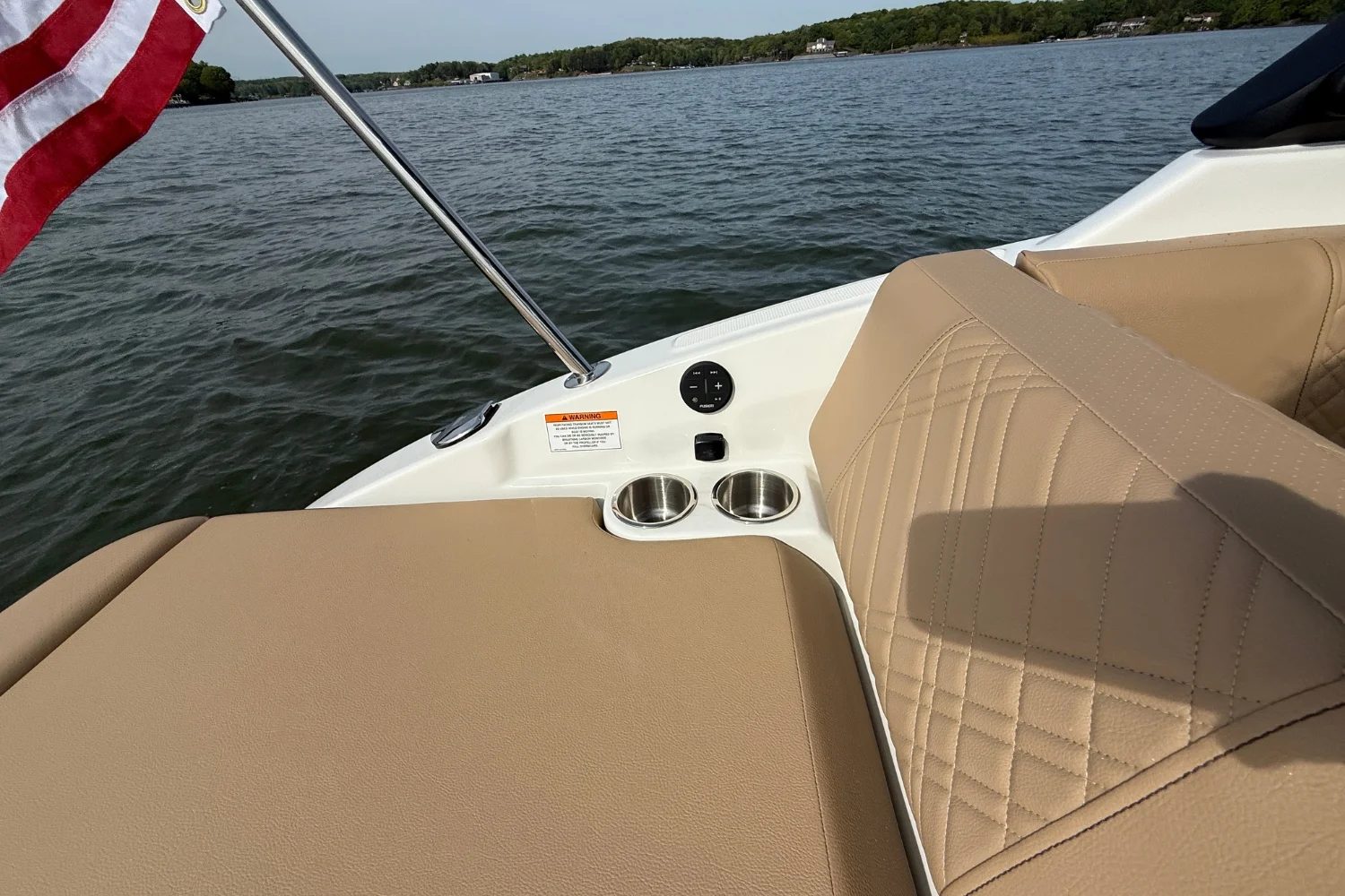 2026 Sea Ray SDX 250 Image Thumbnail #8
