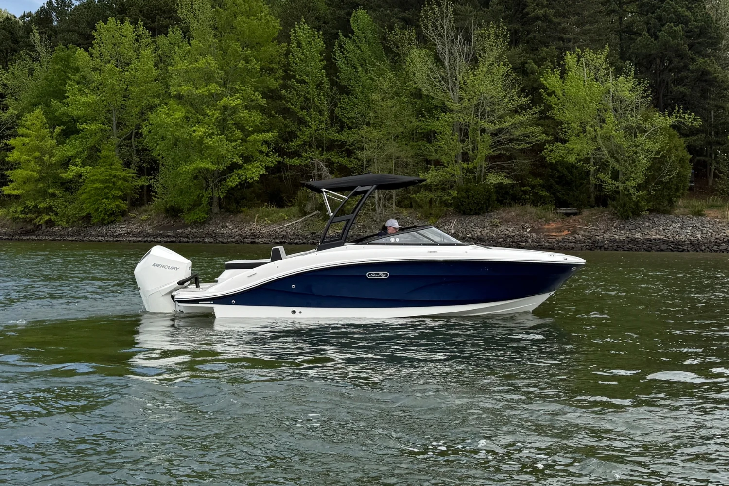 2026 Sea Ray SPX 210 Outboard Image Thumbnail #4