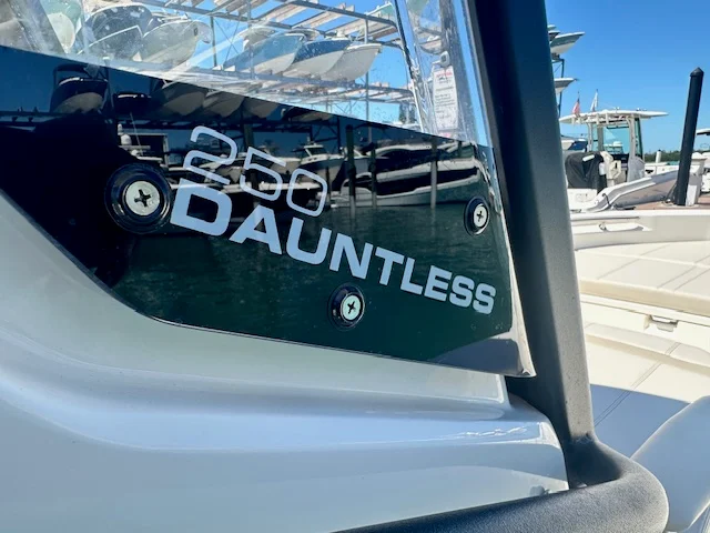 2025 Boston Whaler 250 Dauntless Image Thumbnail #17