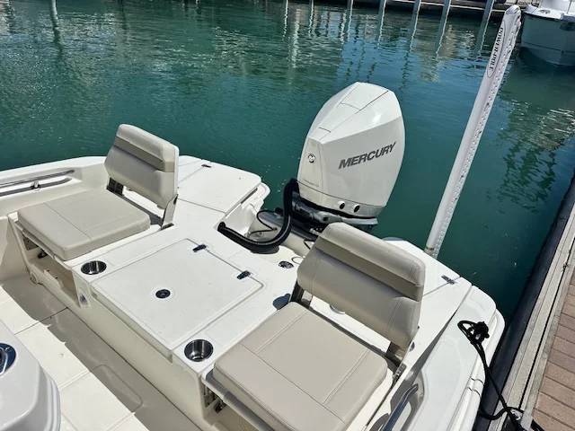 2025 Boston Whaler 250 Dauntless Image Thumbnail #12