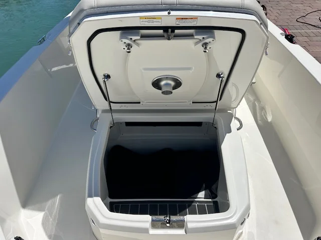 2025 Boston Whaler 250 Dauntless Image Thumbnail #5