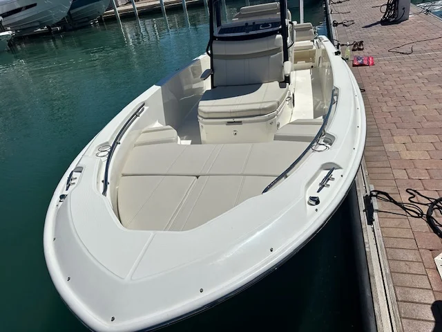 2025 Boston Whaler 250 Dauntless Image Thumbnail #4