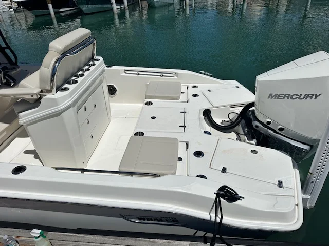 2025 Boston Whaler 250 Dauntless Image Thumbnail #11