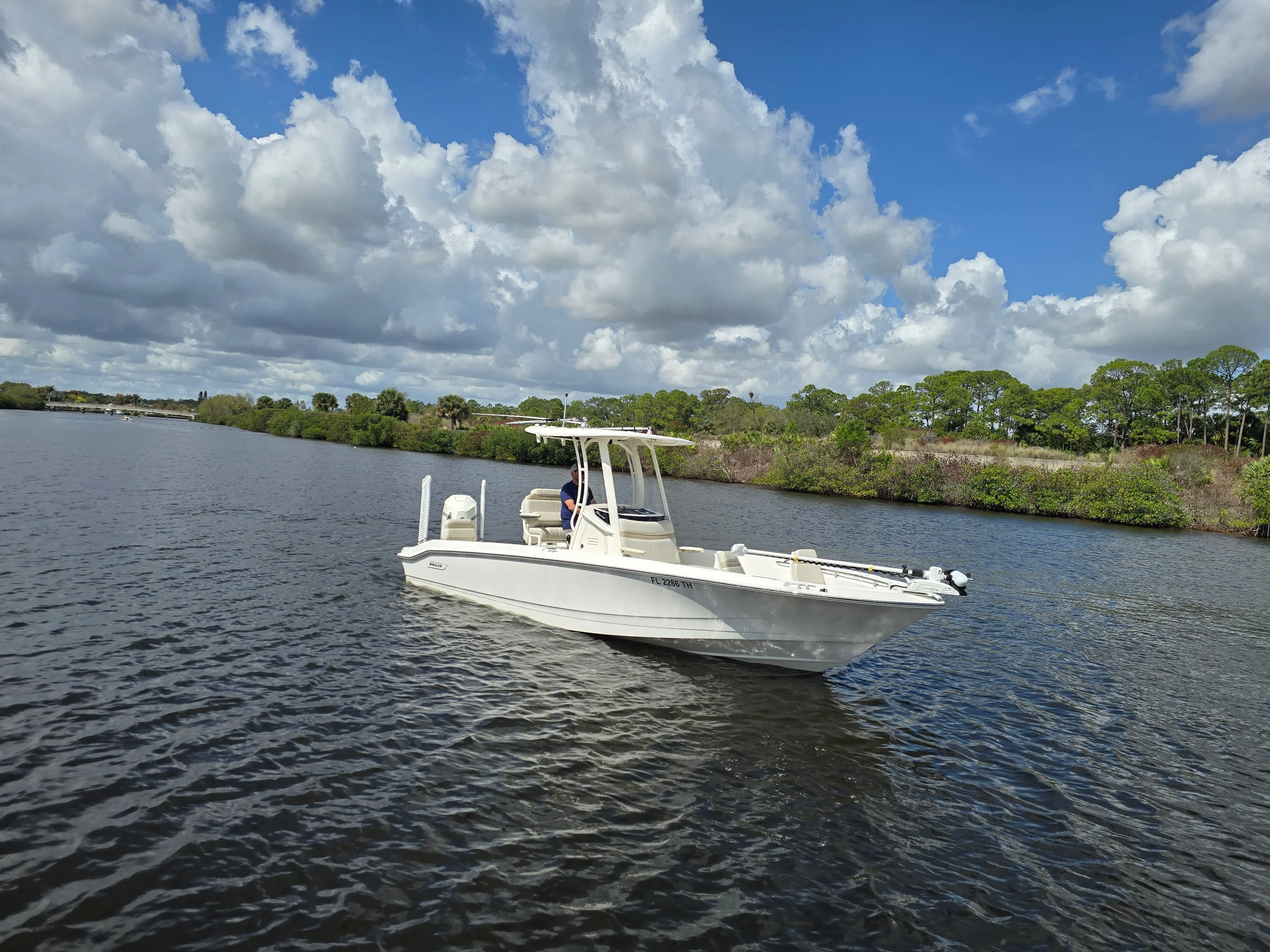 2023 Boston Whaler 250 DAUNTLESS Image Thumbnail #2