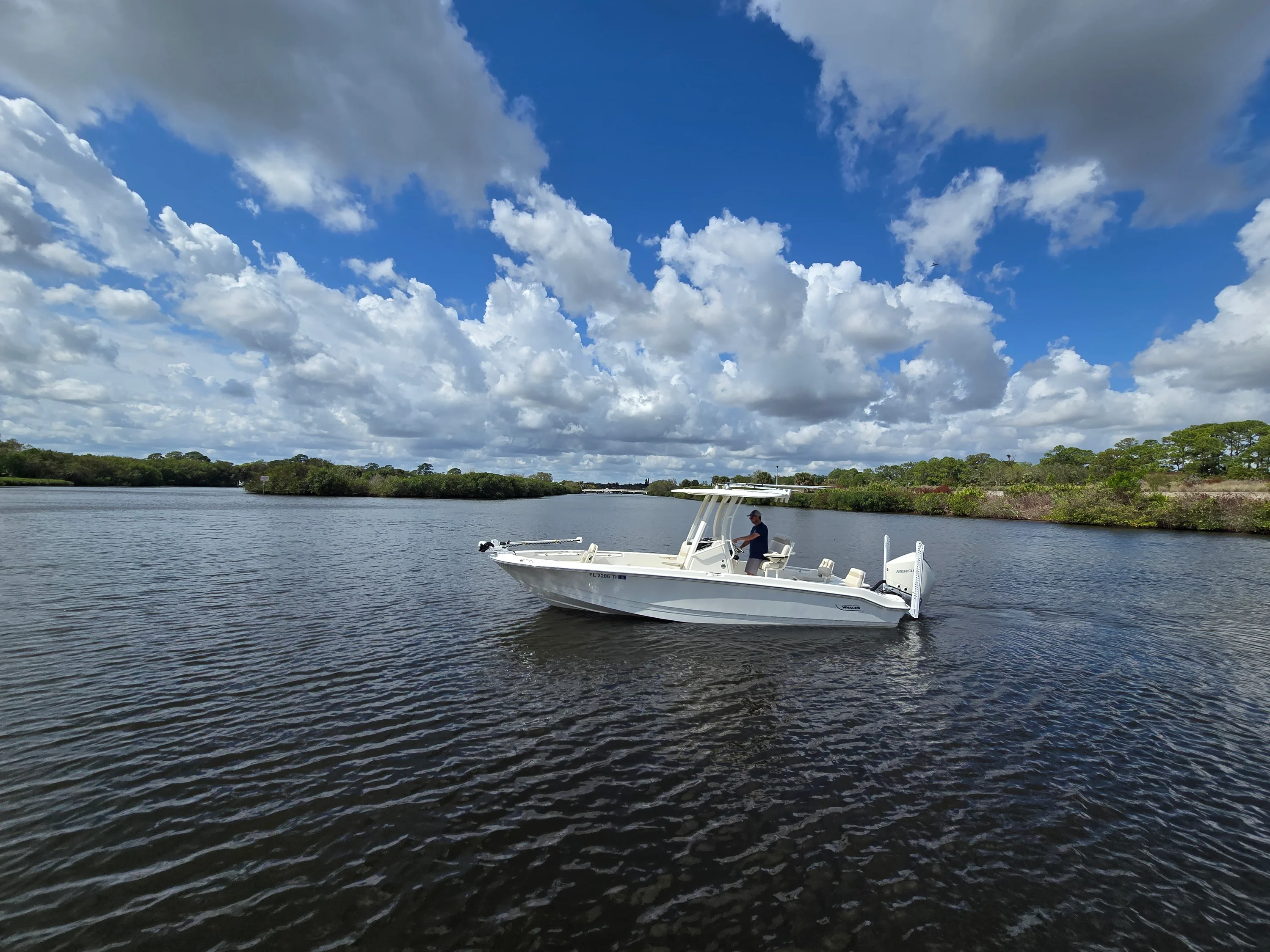 2023 Boston Whaler 250 DAUNTLESS Image Thumbnail #20