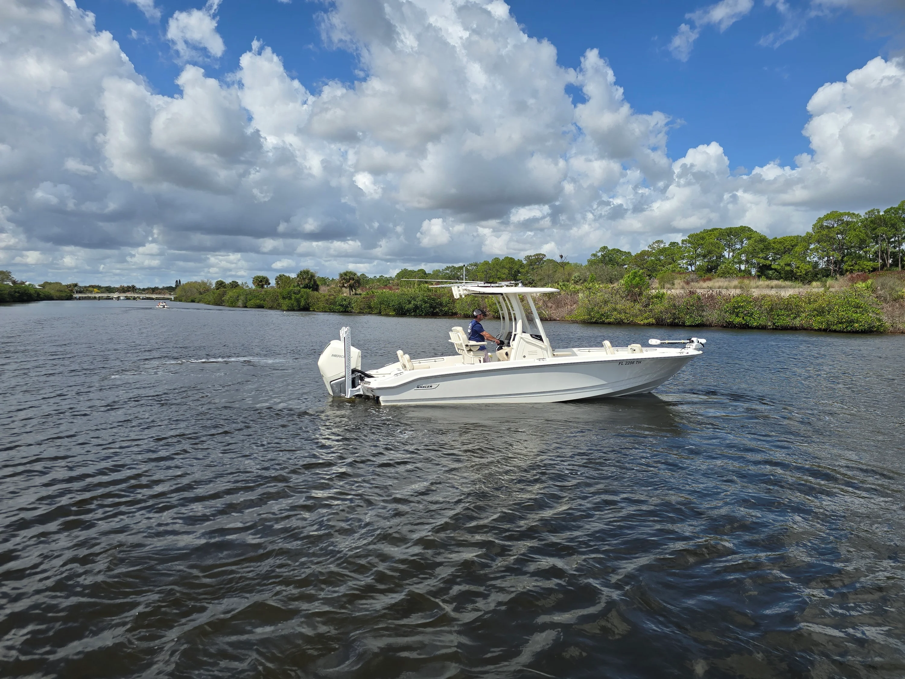 2023 Boston Whaler 250 DAUNTLESS Image Thumbnail #0