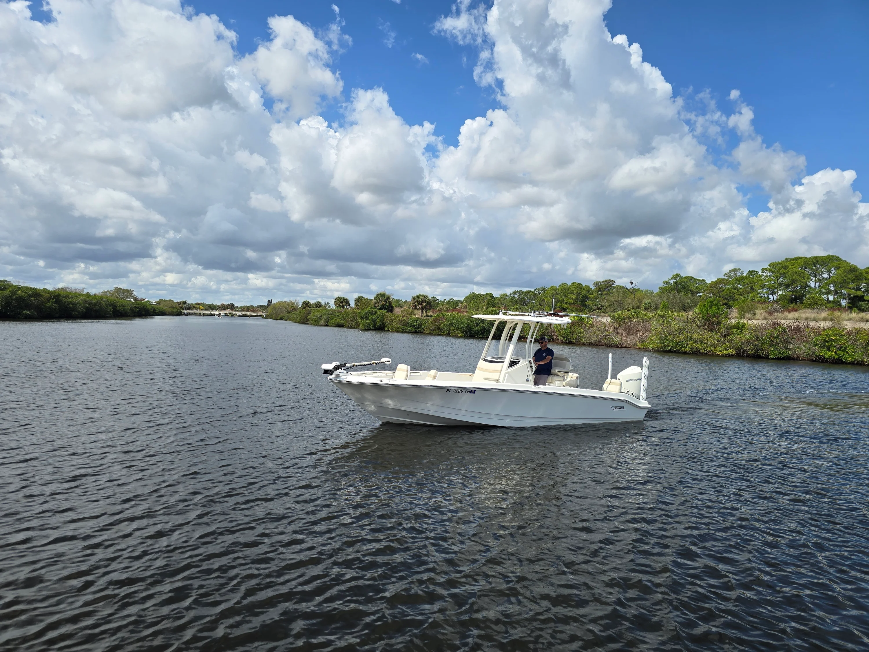 2023 Boston Whaler 250 DAUNTLESS Image Thumbnail #5