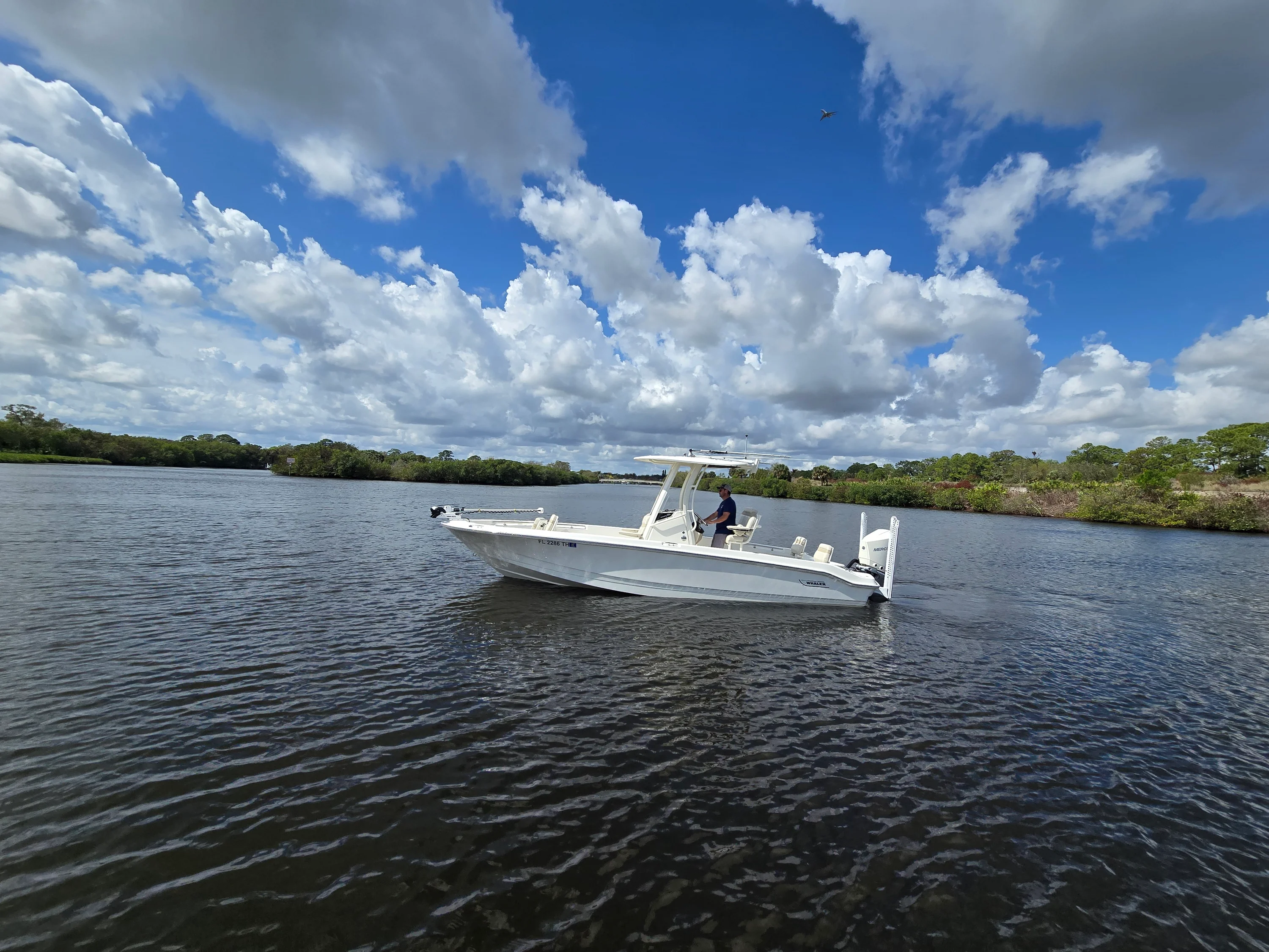 2023 Boston Whaler 250 DAUNTLESS Image Thumbnail #7
