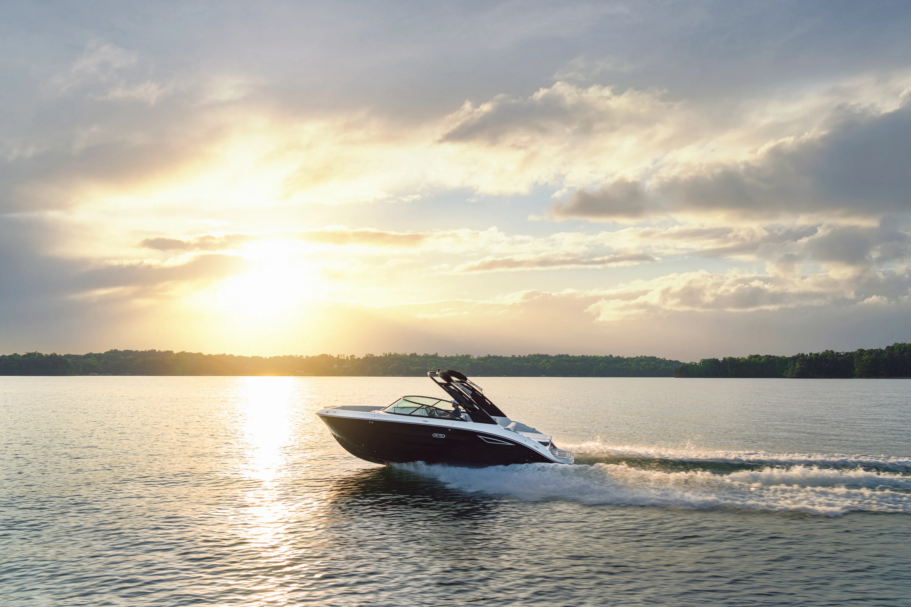 2026 Sea Ray SDX 250 Image Thumbnail #9