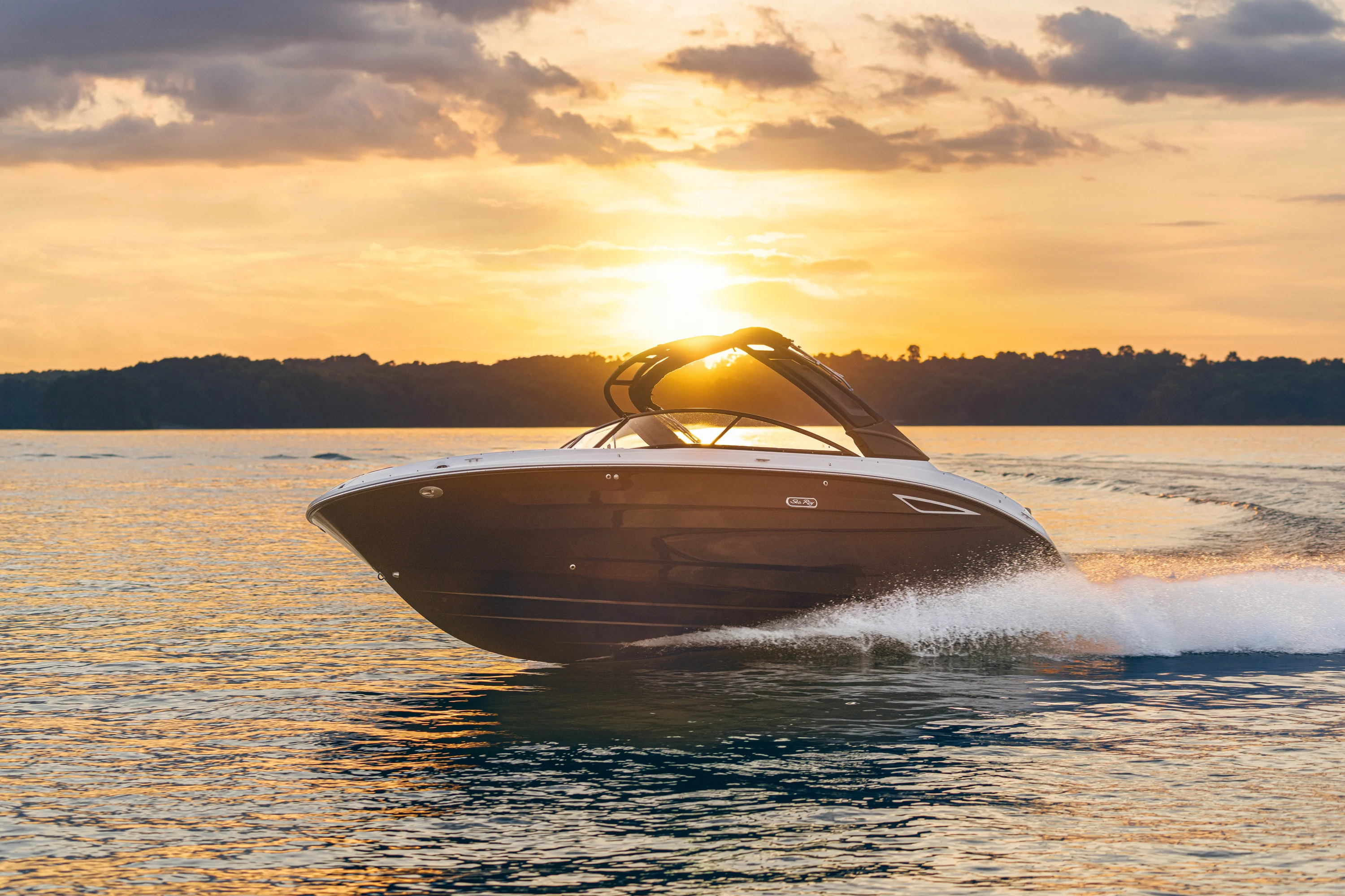 2026 Sea Ray SDX 250 Image Thumbnail #10