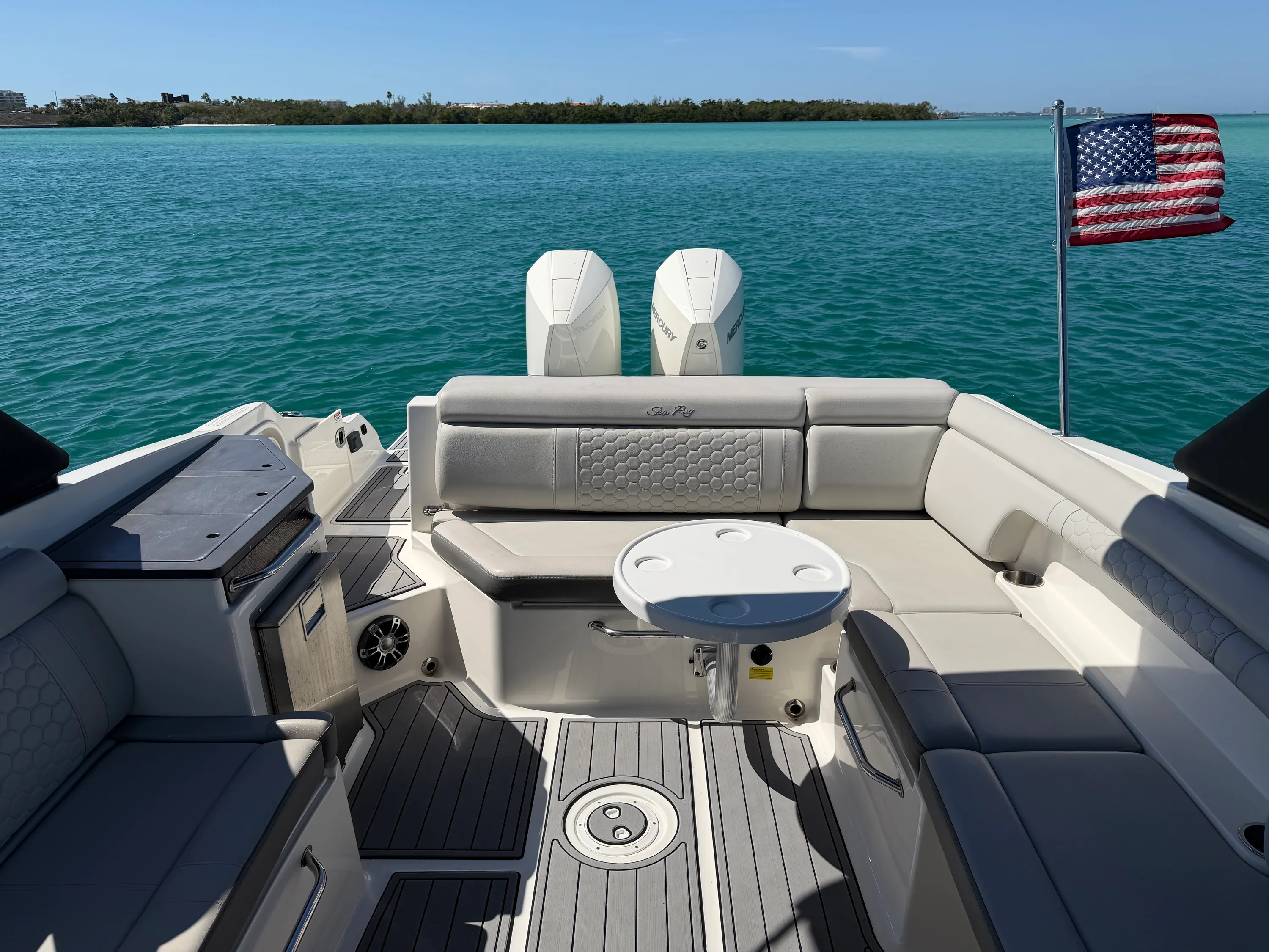 2021 Sea Ray 290 SDX OUTBOARD Image Thumbnail #19