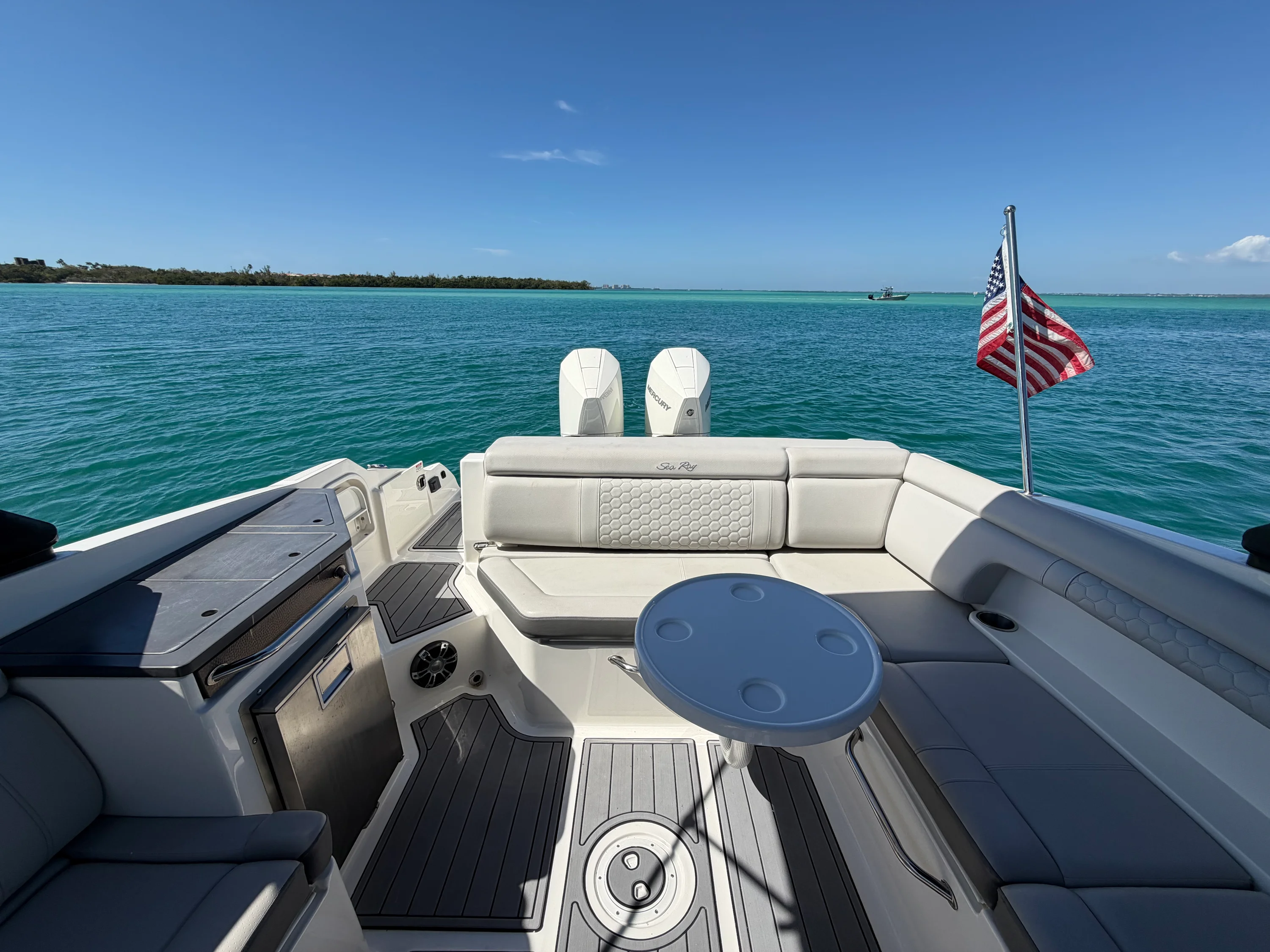 2021 Sea Ray 290 SDX OUTBOARD Image Thumbnail #7