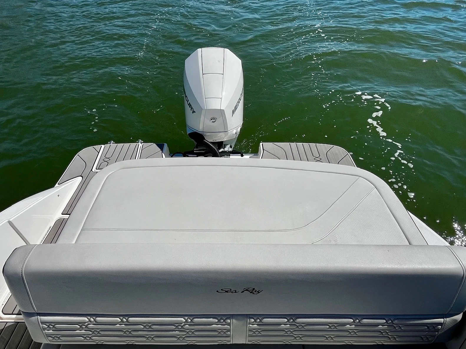 2025 Sea Ray 21 SPX OB Image Thumbnail #9