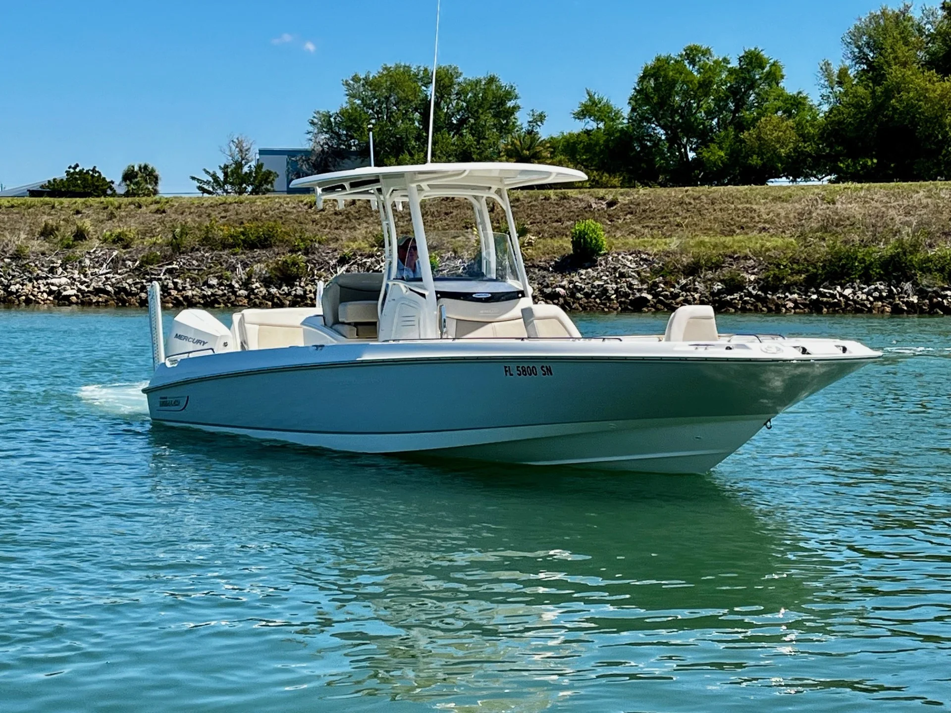 2020 Boston Whaler DAUNTLESS Image Thumbnail #1