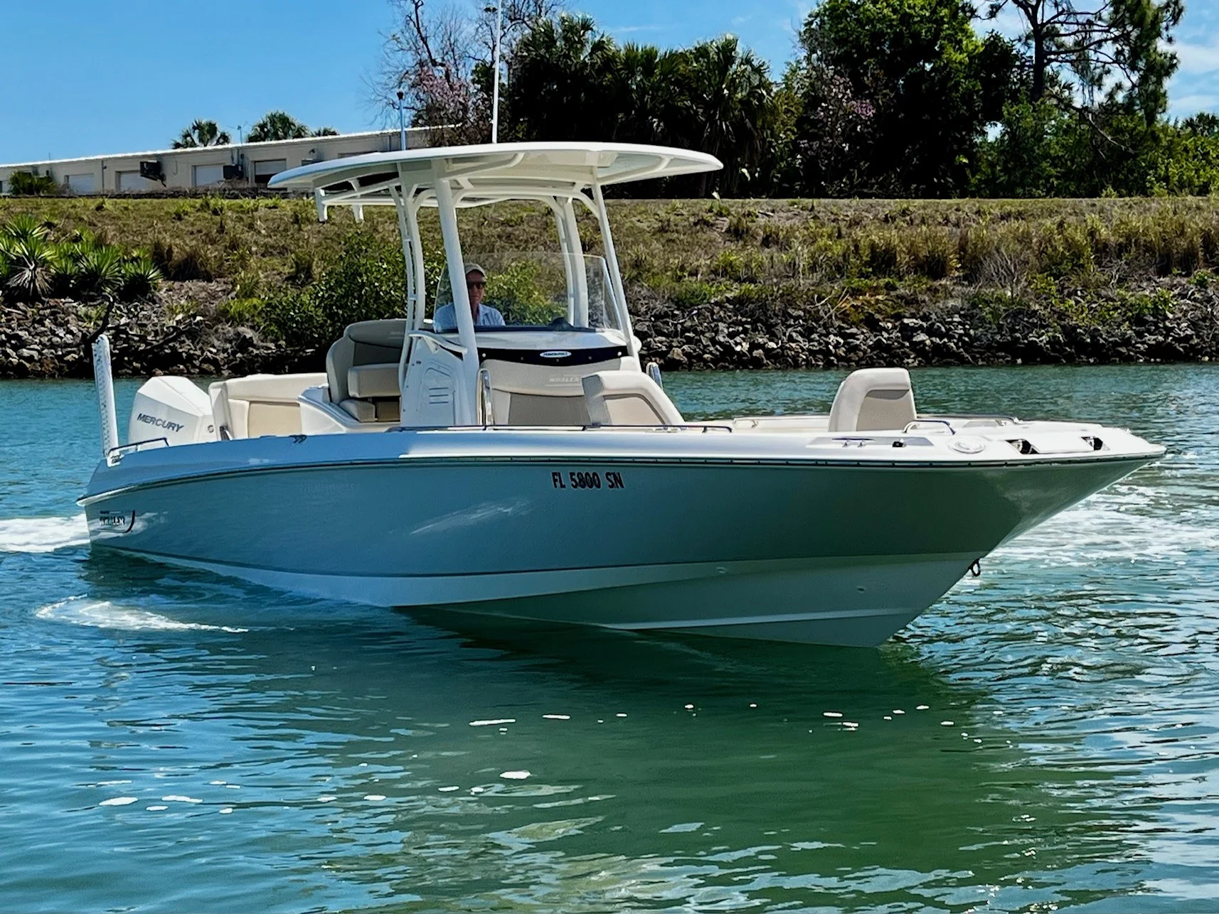 2020 Boston Whaler DAUNTLESS Image Thumbnail #2