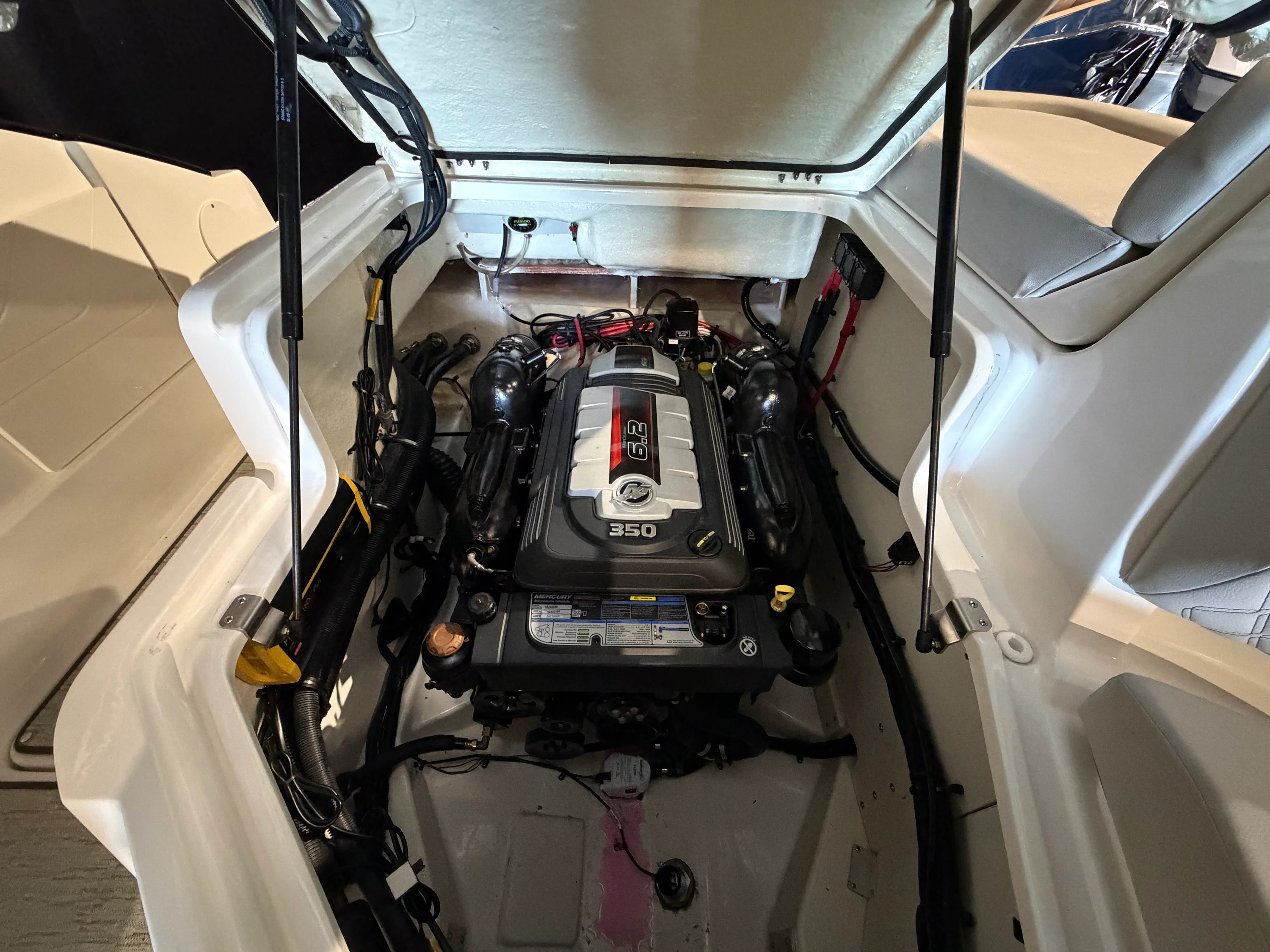 2024 Sea Ray SLX 260 Image Thumbnail #22