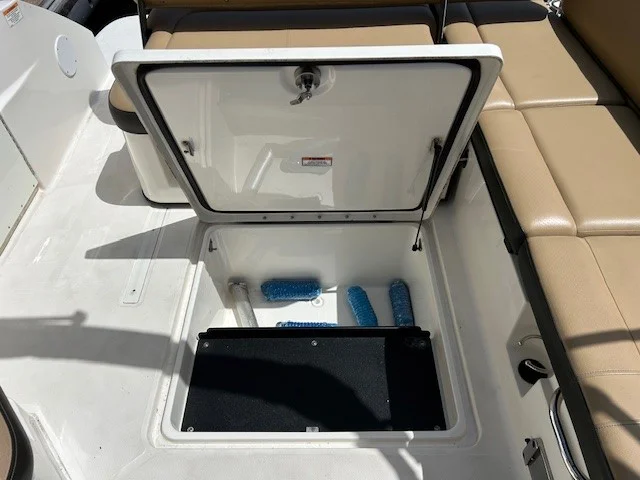 2021 Sea Ray 250 SDX OB Image Thumbnail #17