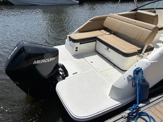 2021 Sea Ray 250 SDX OB Image Thumbnail #6