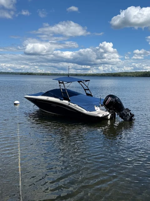 2022 Sea Ray SPX 190 OB Image Thumbnail #9