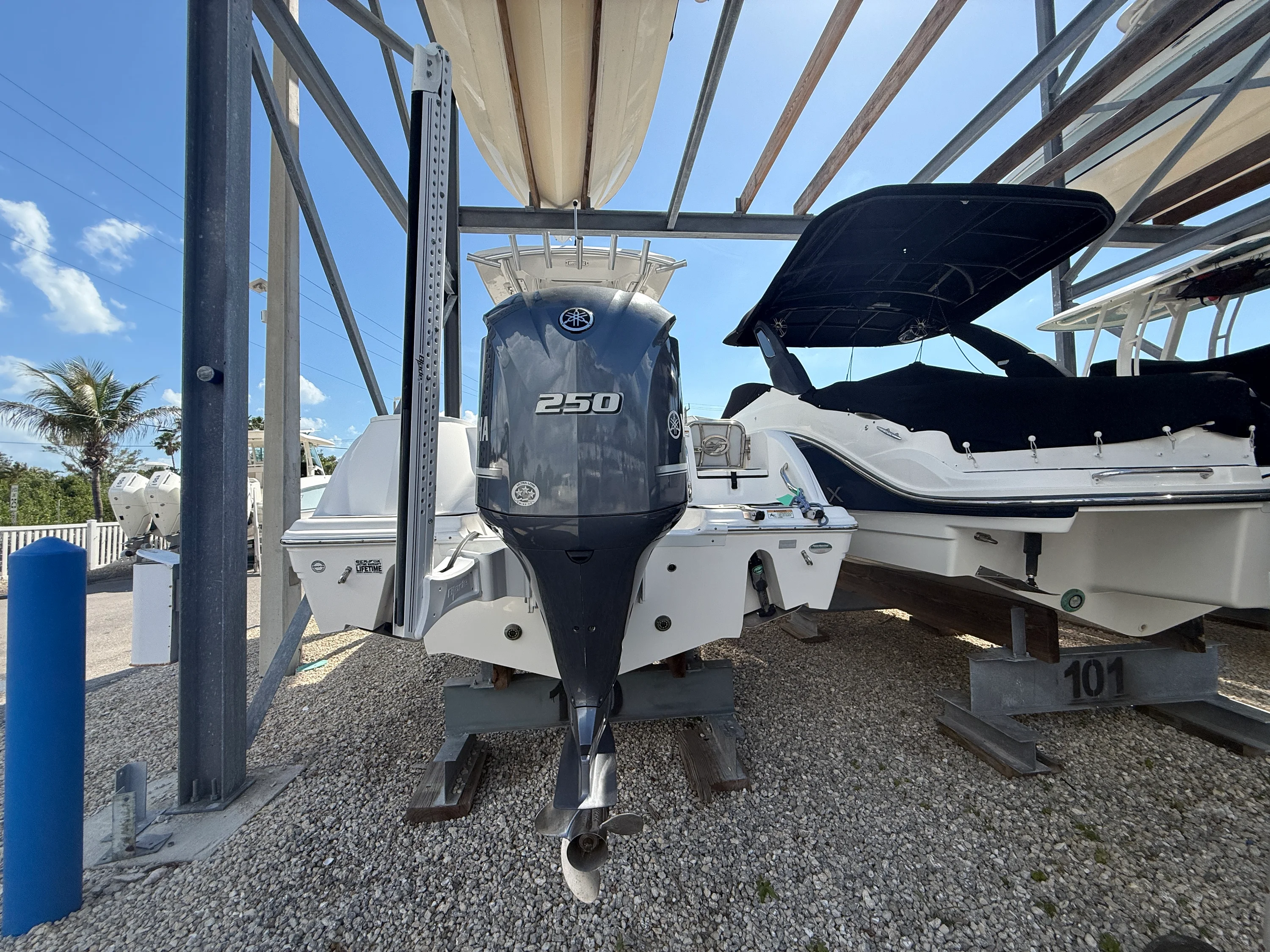 2021 Sea Fox 248 COMMANDER Image Thumbnail #1