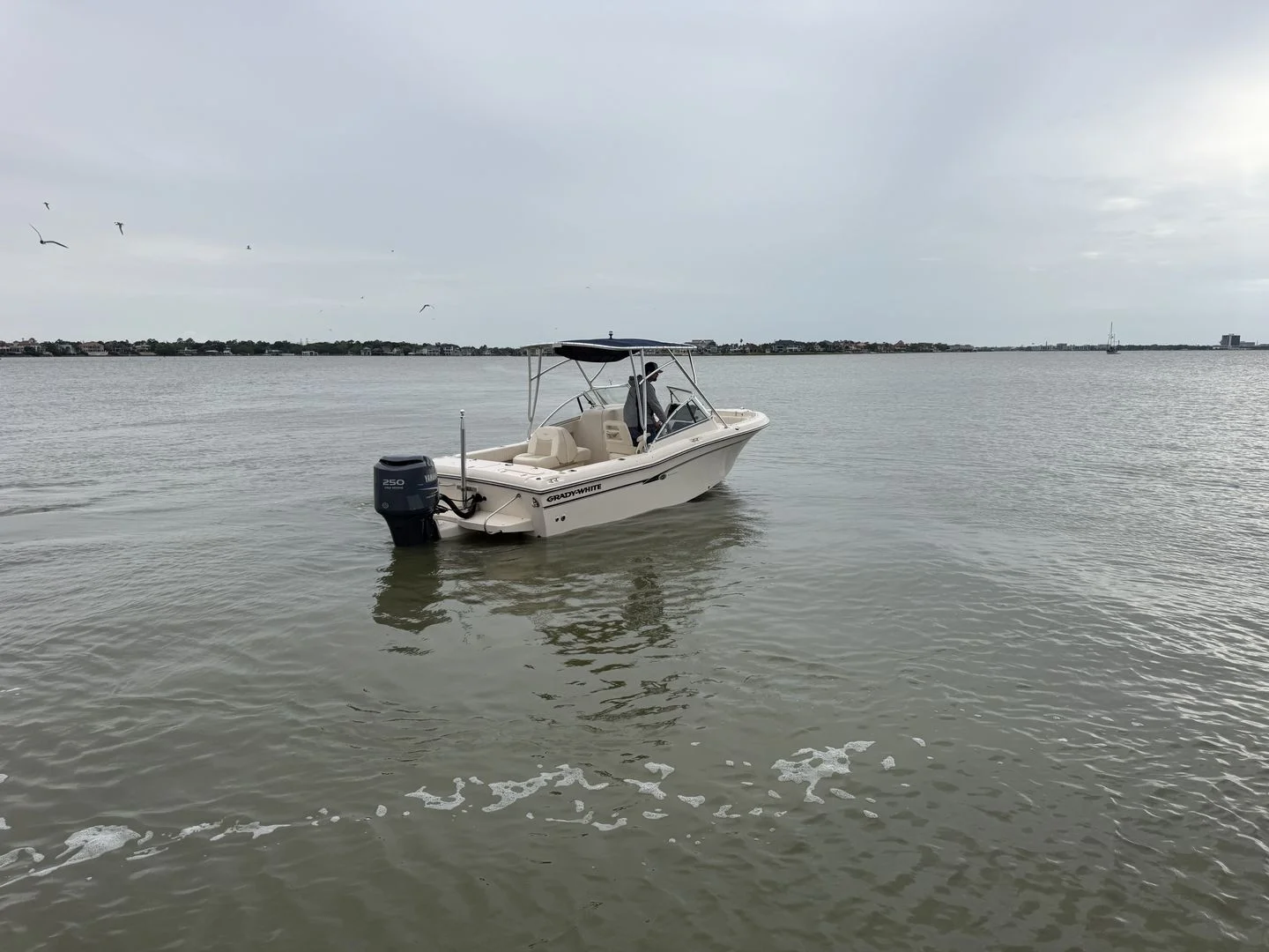 2009 Grady-White Tournament 225 Image Thumbnail #18