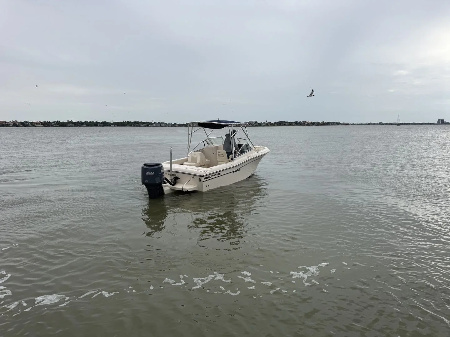 2009 Grady-White Tournament 225 Image Thumbnail #17