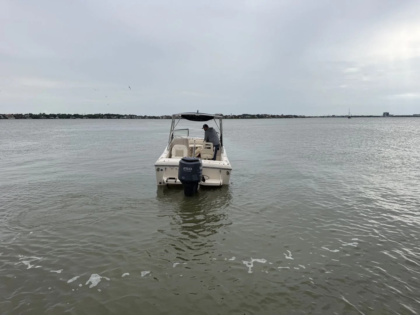 2009 Grady-White Tournament 225 Image Thumbnail #11