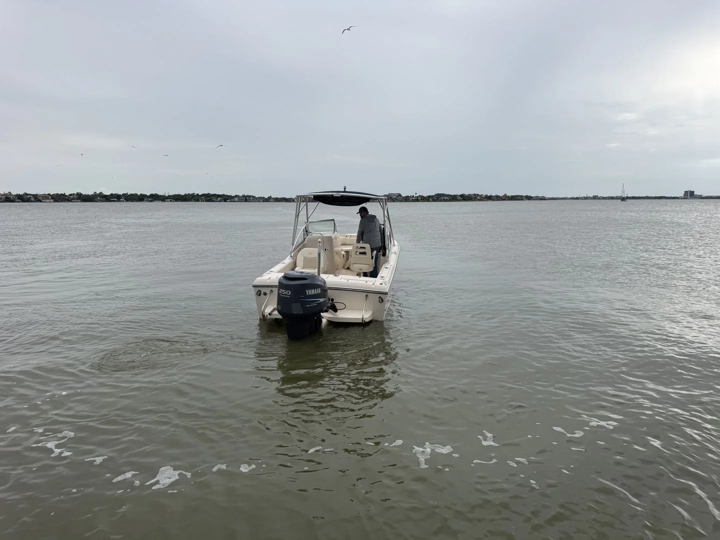 2009 Grady-White Tournament 225 Image Thumbnail #12