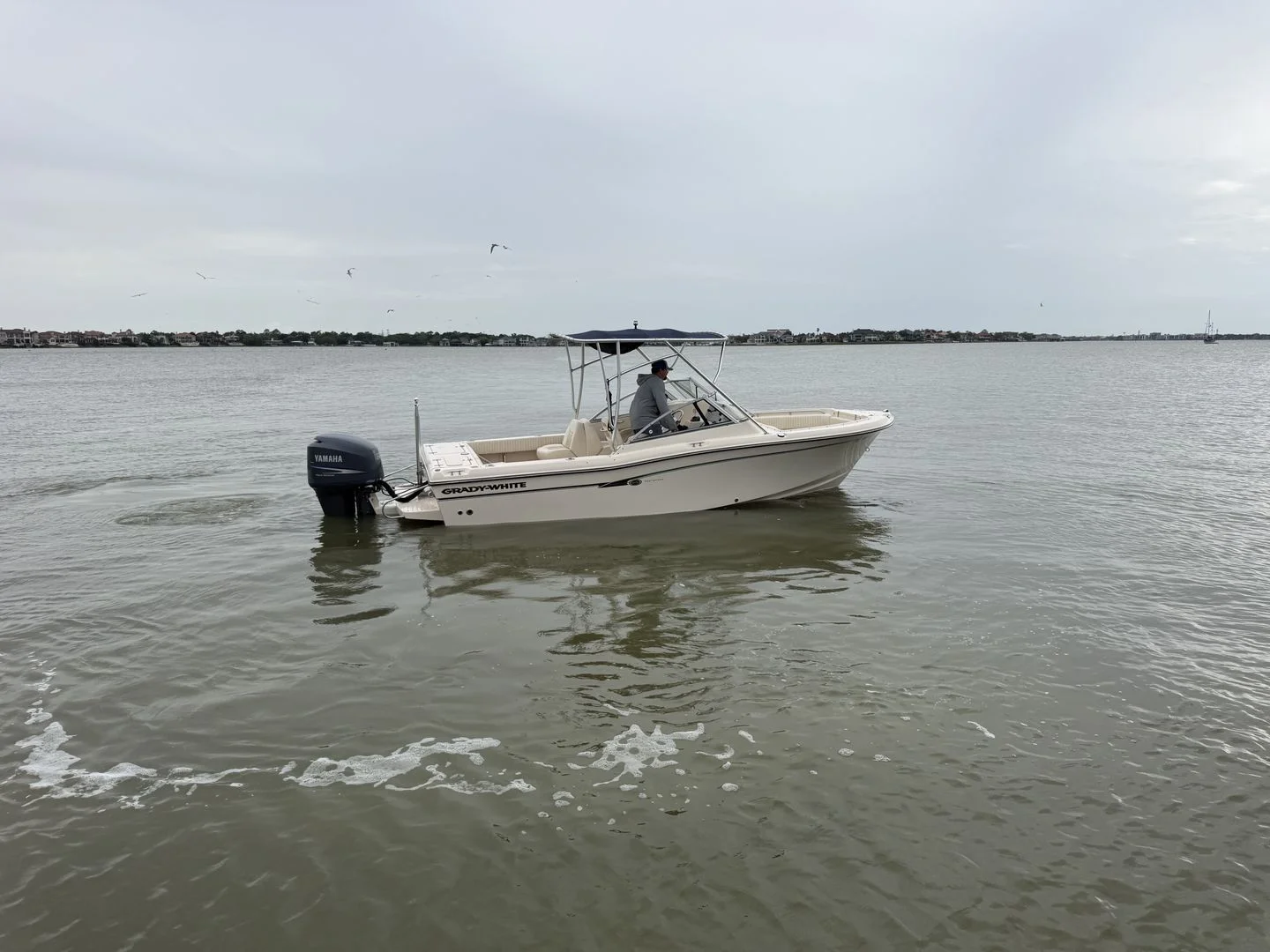 2009 Grady-White Tournament 225 Image Thumbnail #22