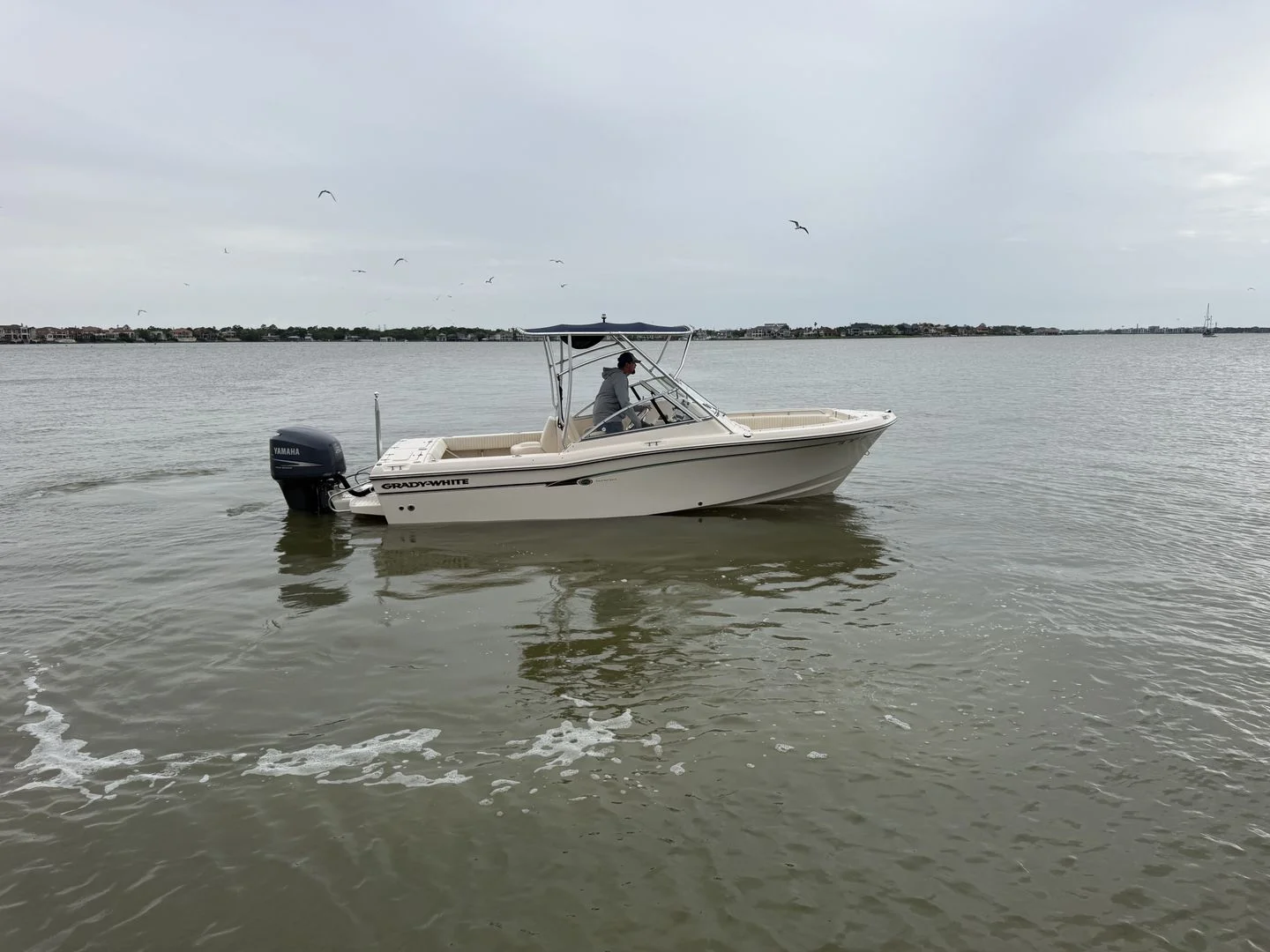 2009 Grady-White Tournament 225 Image Thumbnail #23