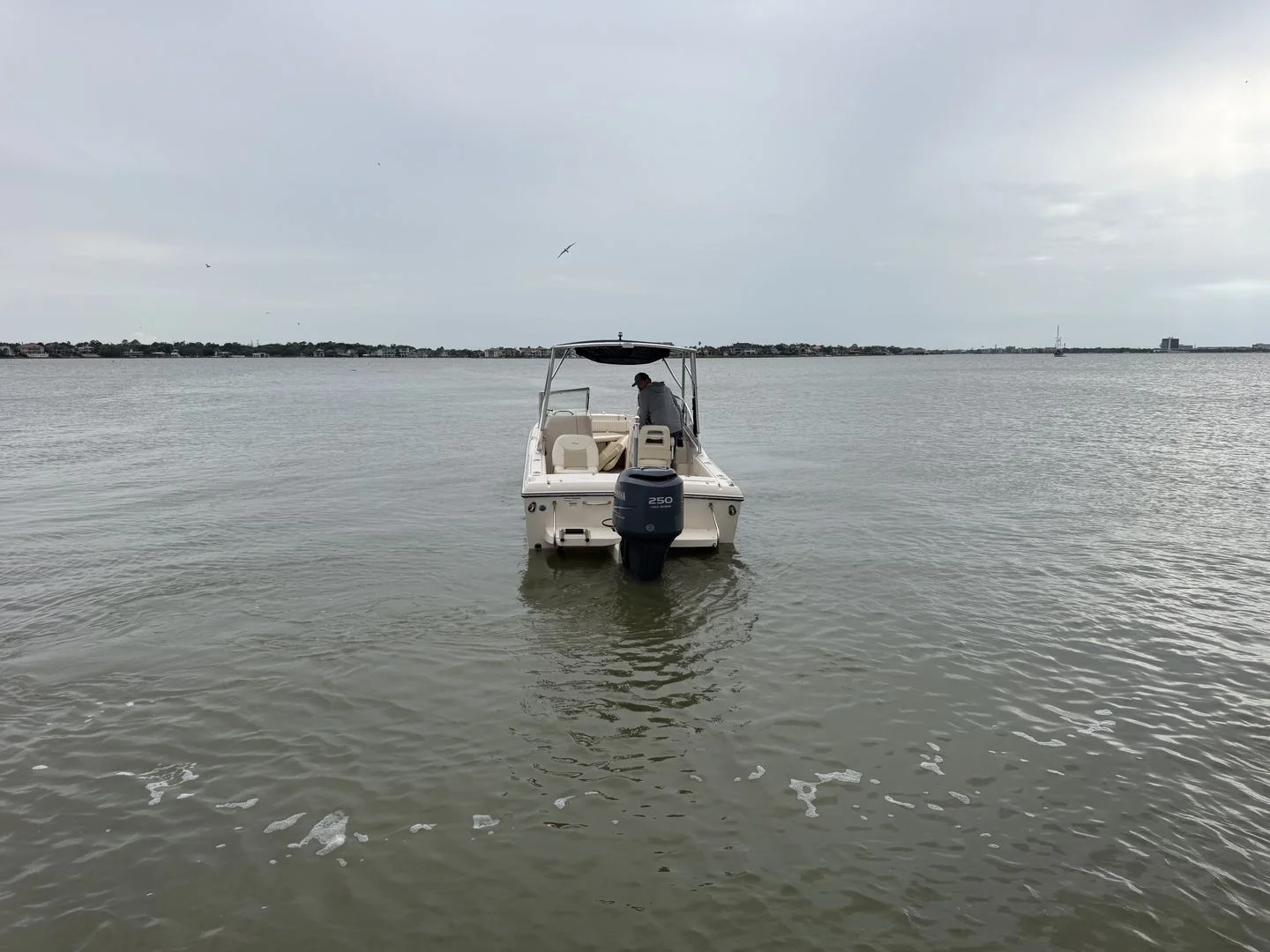 2009 Grady-White Tournament 225 Image Thumbnail #10