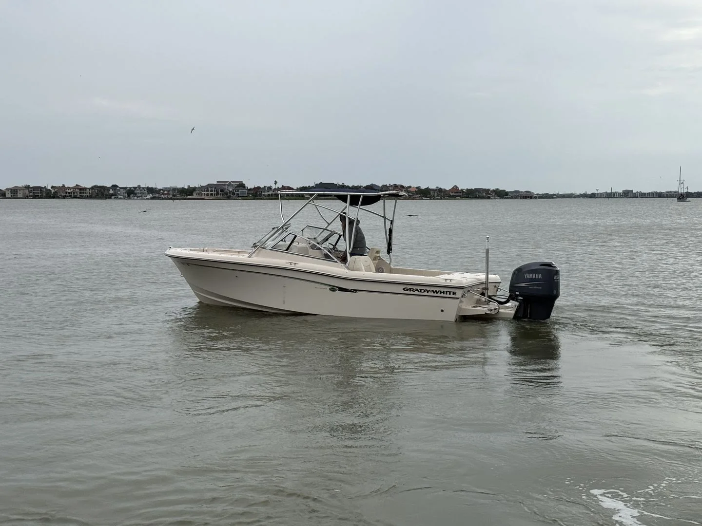 2009 Grady-White Tournament 225 Image Thumbnail #6