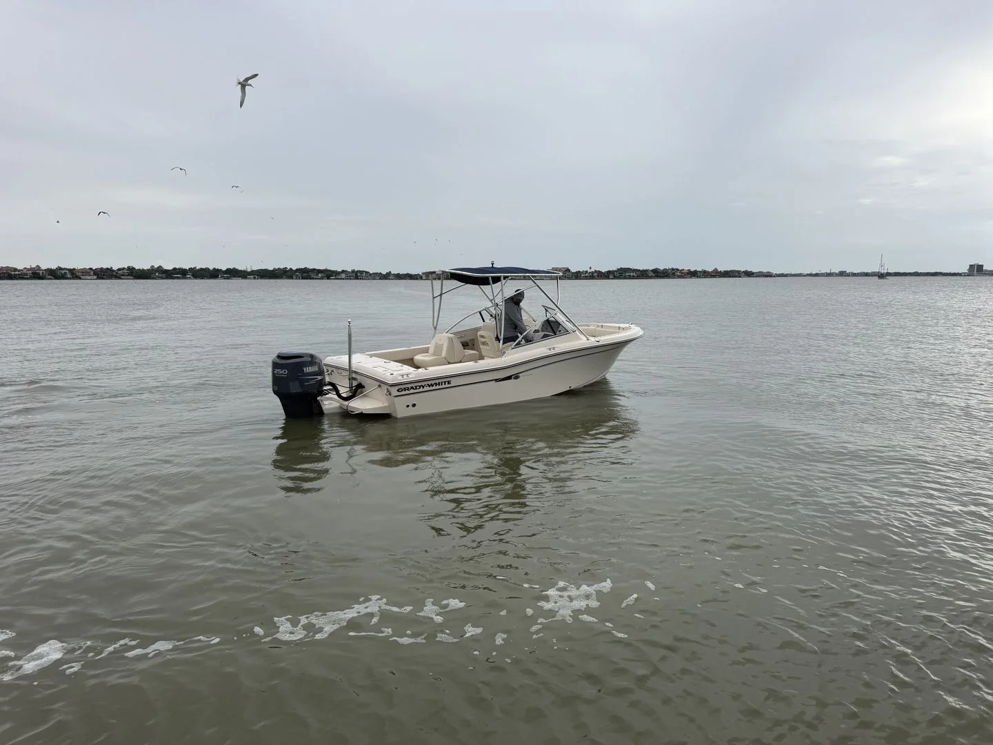 2009 Grady-White Tournament 225 Image Thumbnail #20