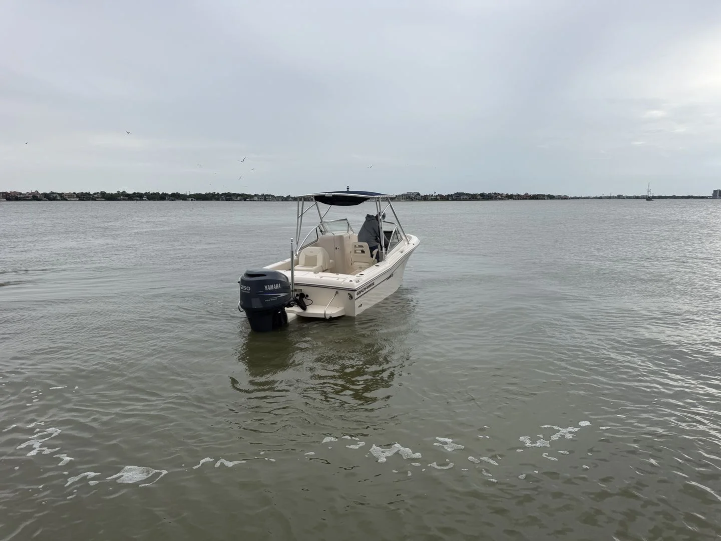 2009 Grady-White Tournament 225 Image Thumbnail #15