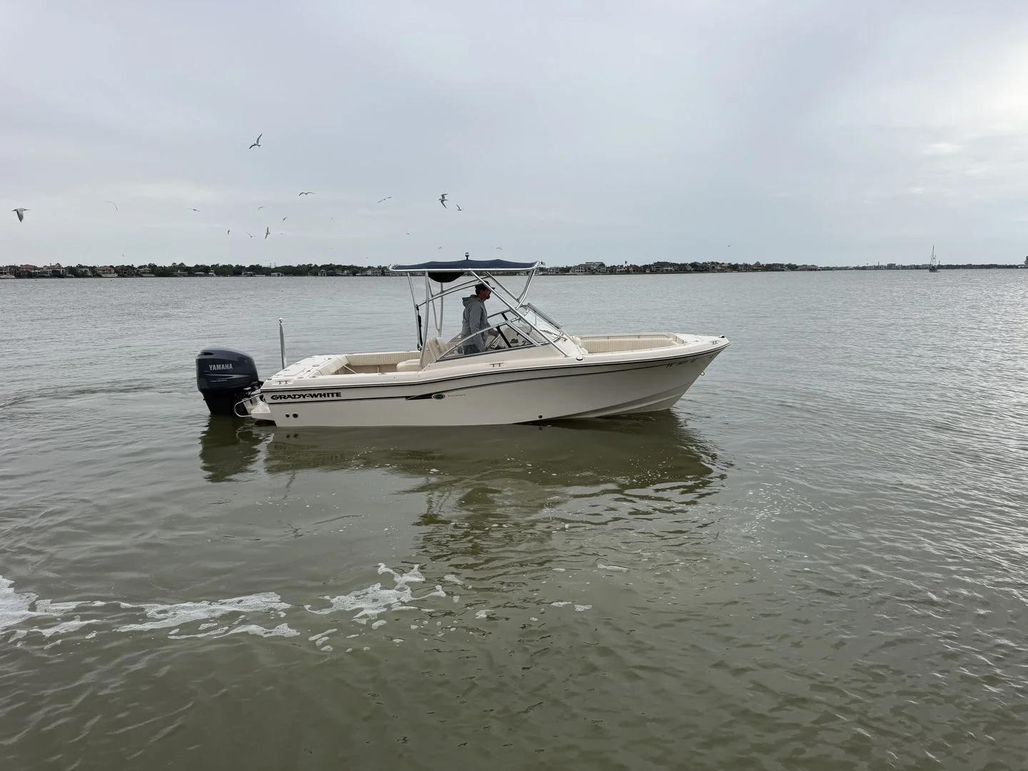 2009 Grady-White Tournament 225 Image Thumbnail #24