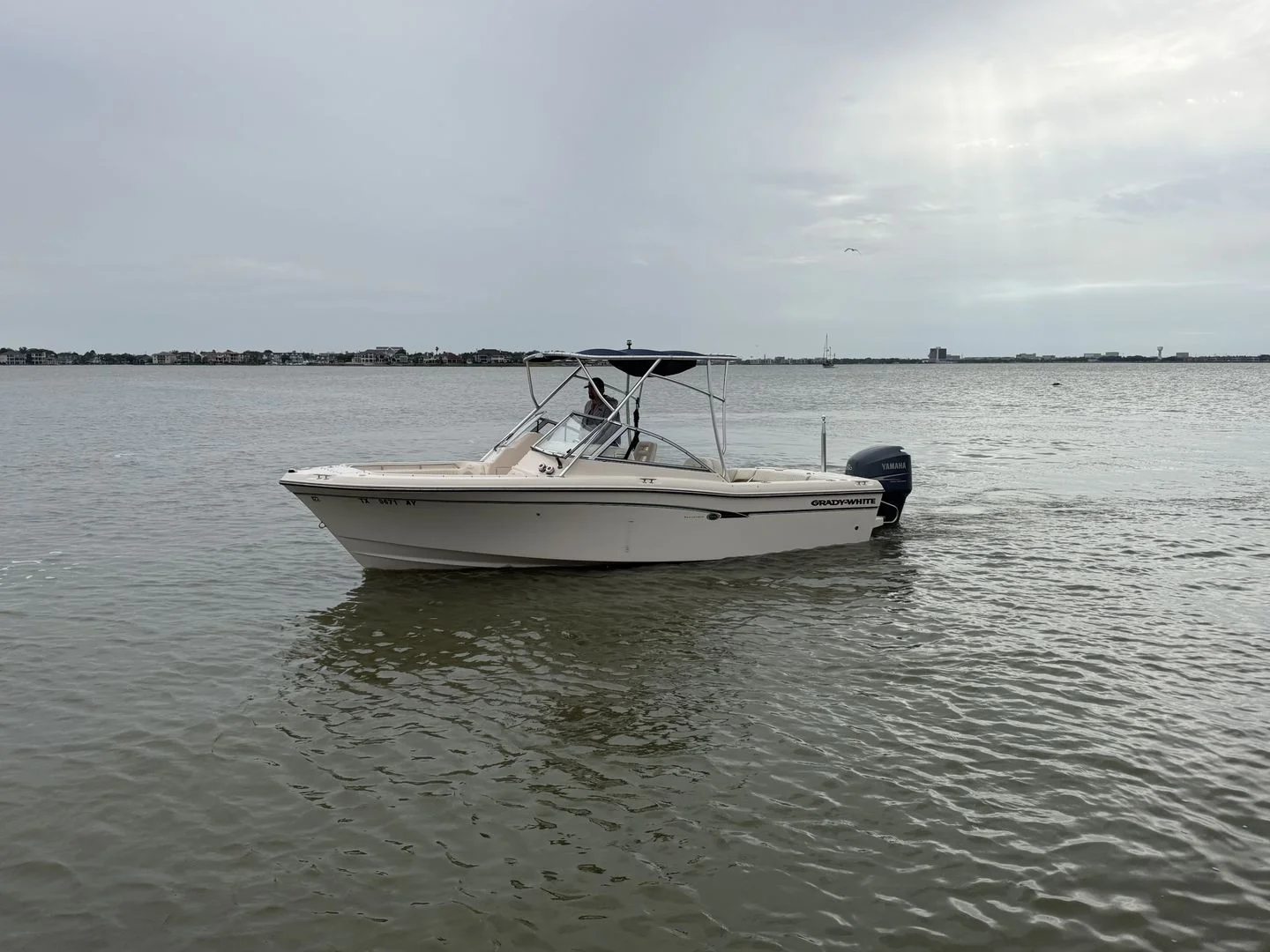 2009 Grady-White Tournament 225 Image Thumbnail #5