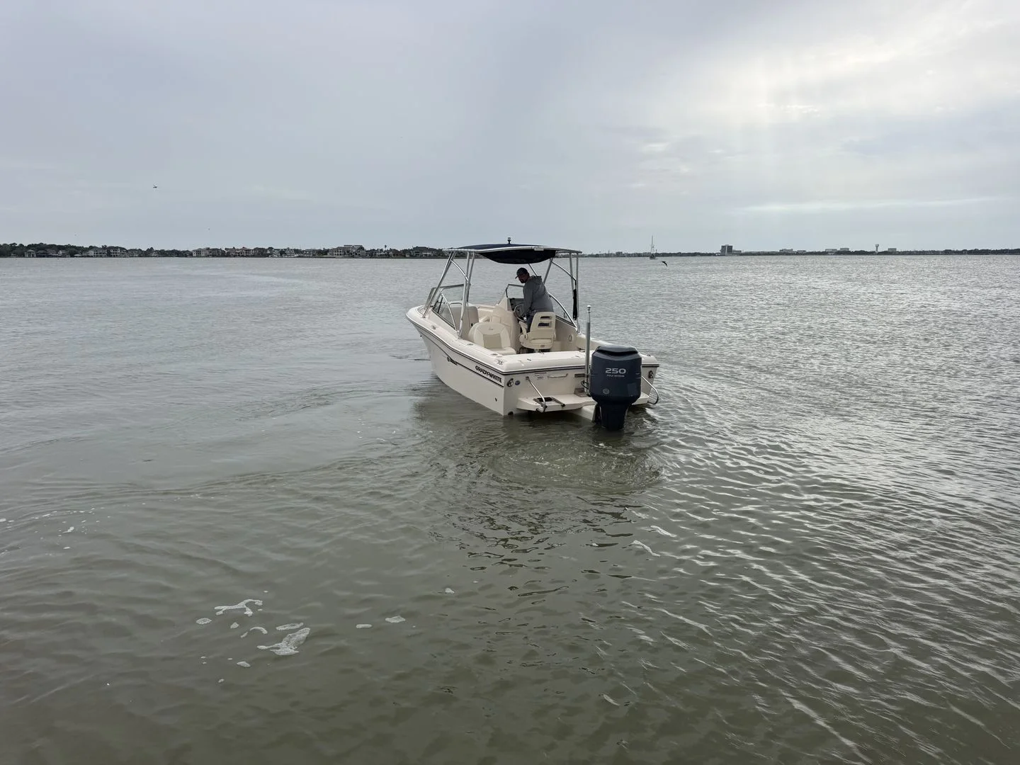 2009 Grady-White Tournament 225 Image Thumbnail #8