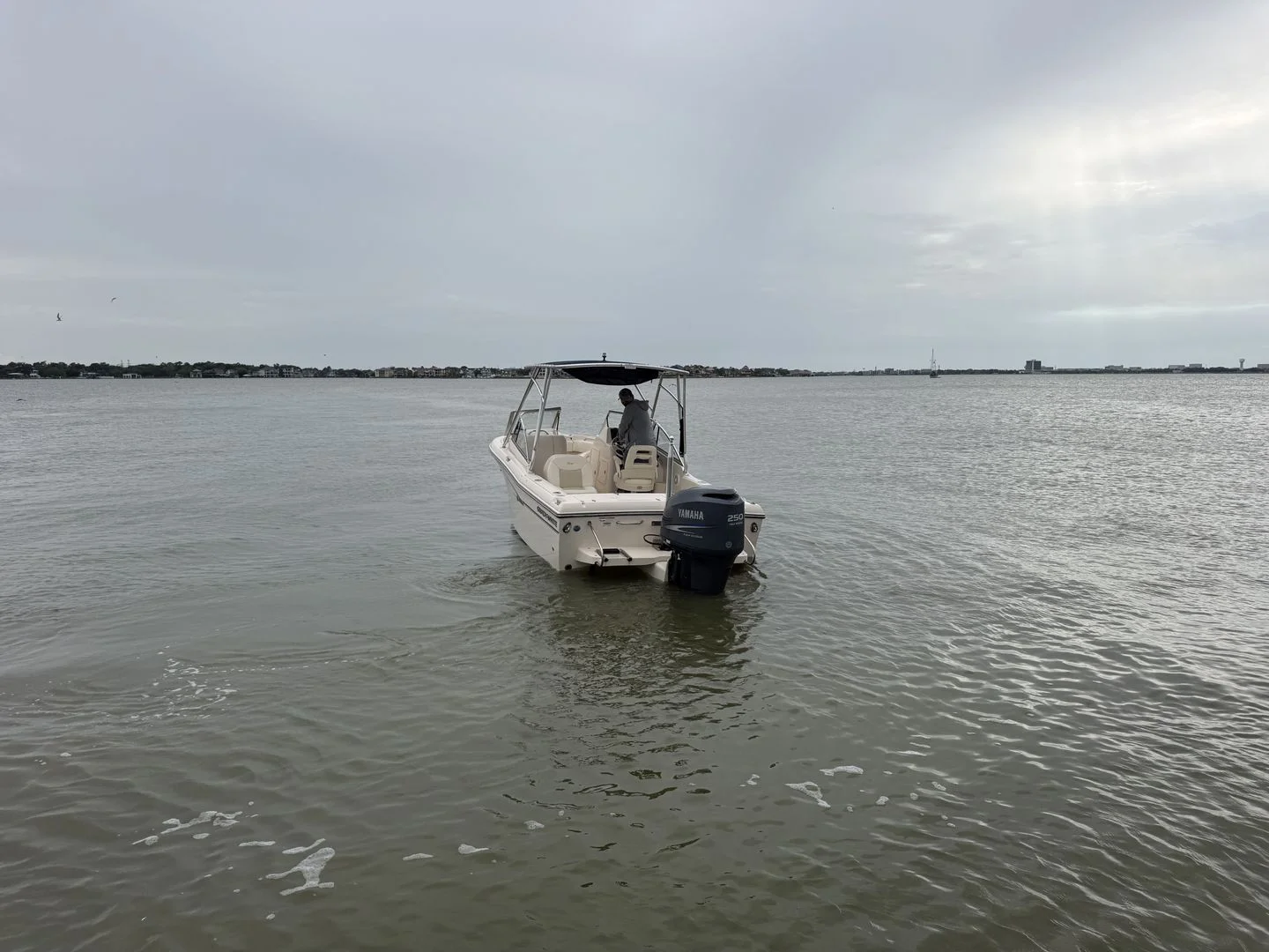 2009 Grady-White Tournament 225 Image Thumbnail #9