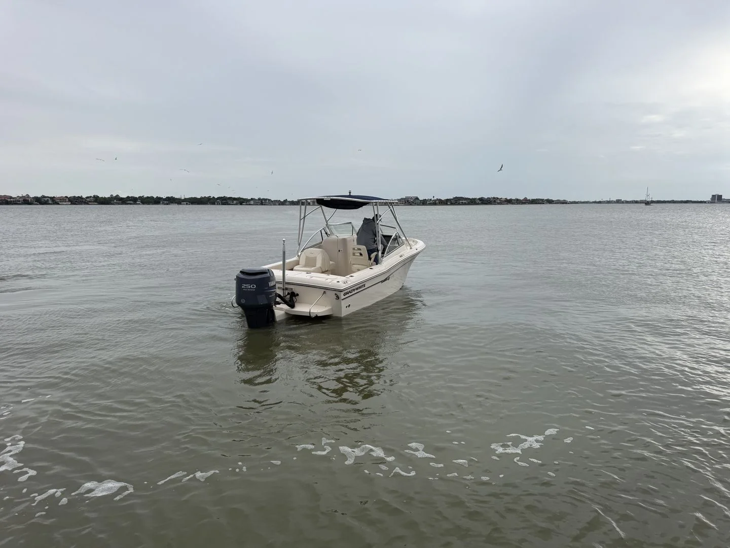 2009 Grady-White Tournament 225 Image Thumbnail #16