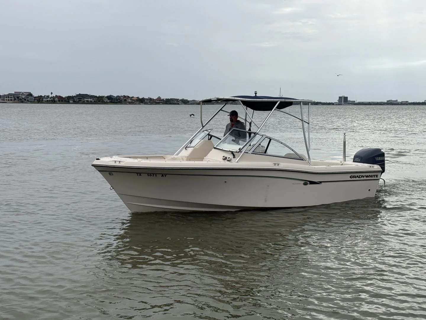 2009 Grady-White Tournament 225 Image Thumbnail #2