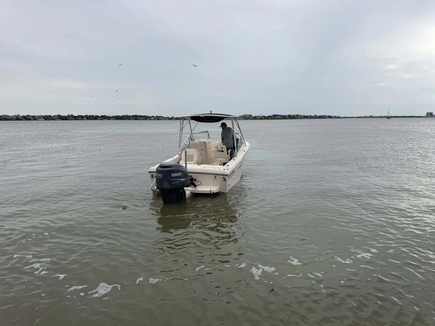 2009 Grady-White Tournament 225 Image Thumbnail #13