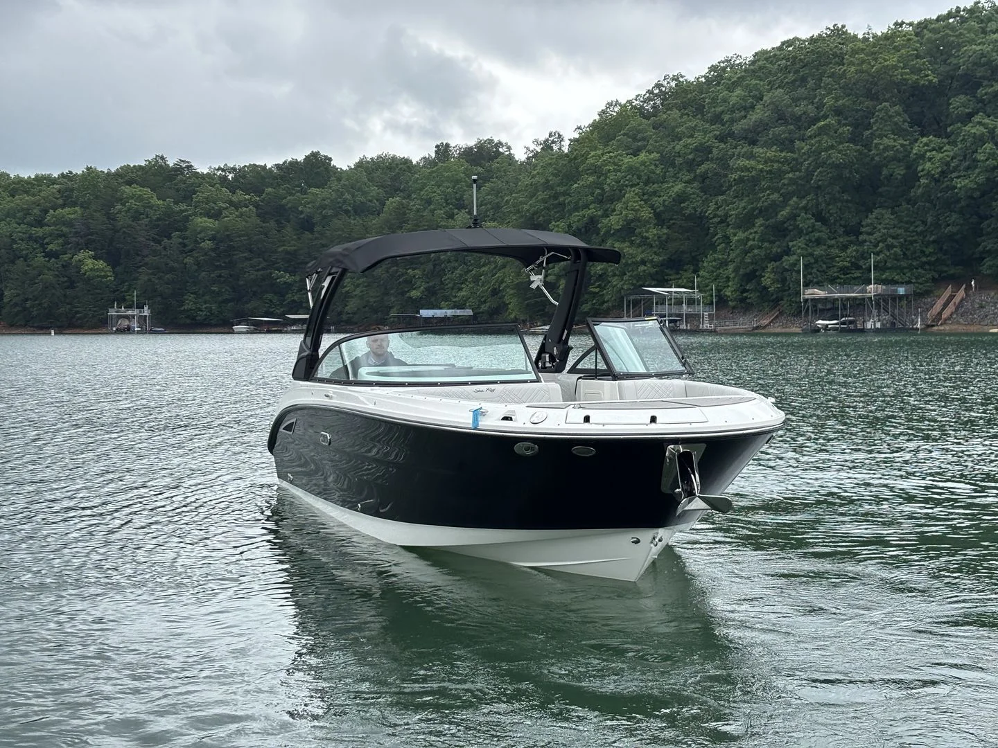 2026 Sea Ray SDX 270 Image Thumbnail #4